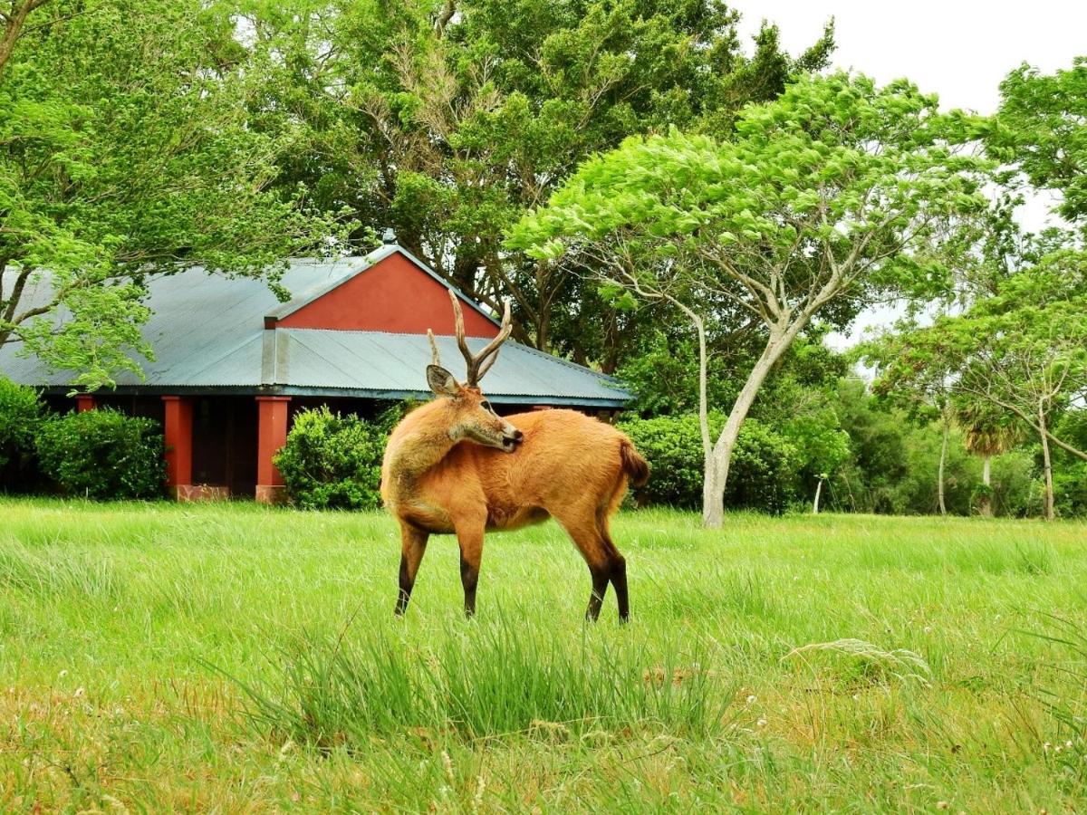 Estancia Ibera Колония Карлос Пелегрини Екстериор снимка