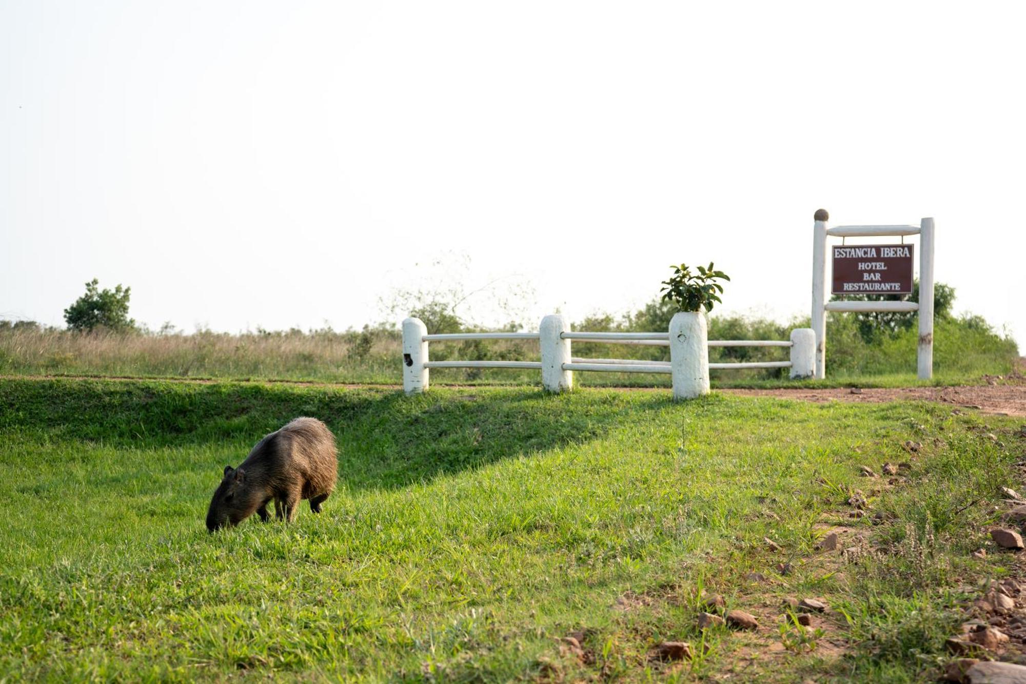 Estancia Ibera Колония Карлос Пелегрини Екстериор снимка